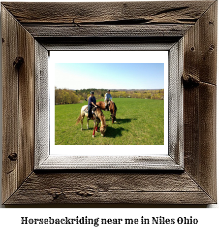 horseback riding near me in Niles, Ohio